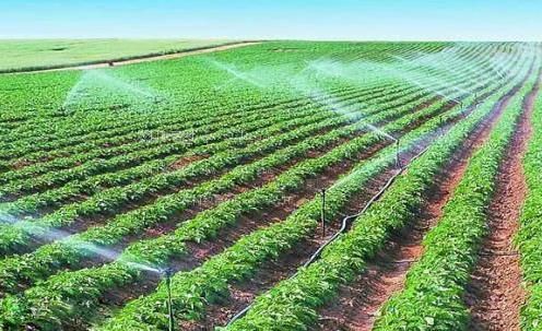 美女和男人操逼的免费视频农田高 效节水灌溉